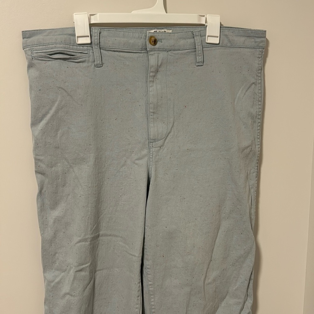 Madewell Plus Size Light Blue Wide Leg Cropped Pants Size 34
